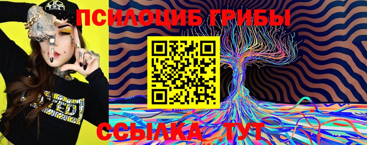 Псилоцибиновые грибы прущие грибы  Вход с VPN  Аксай 