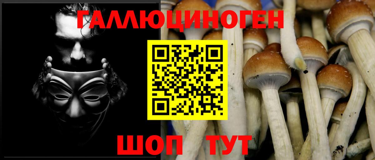 Галлюциногенные грибы мицелий Аксай